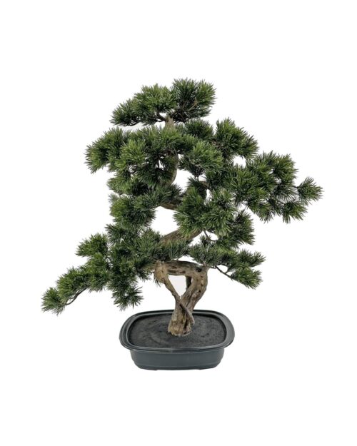 Bonsai grön i svart kruka 68 cm