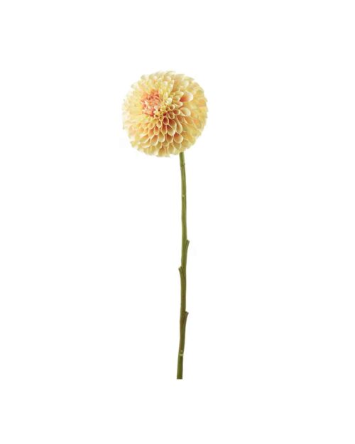 Dahlia Gul 75 cm