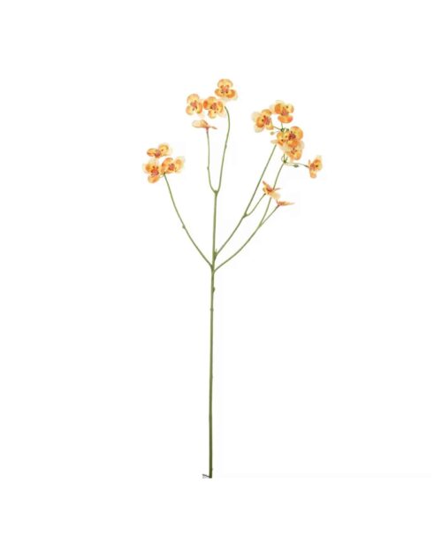 Pensé Orange 63 cm