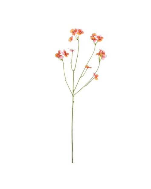 Pensé Flerfärgad rosa 63 cm