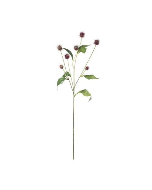 Tistel Burgundy 58 cm – Naturtrogen konstväxt